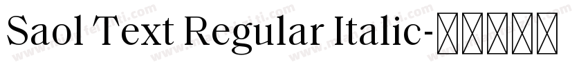 Saol Text Regular Italic字体转换